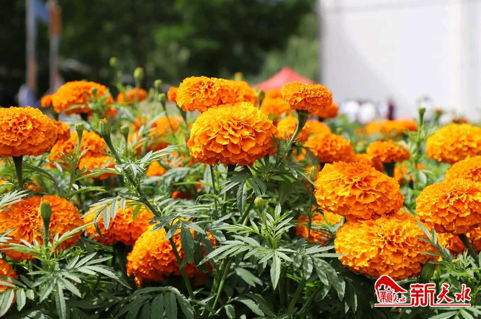 downloadjpg (85).jpg