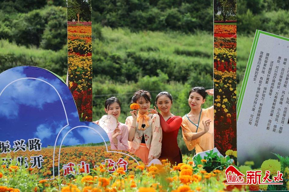 downloadjpg (88).jpg