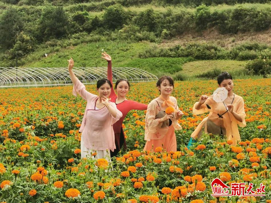 downloadjpg (86).jpg