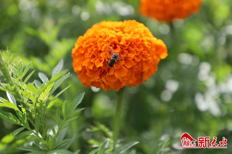 downloadjpg (82).jpg