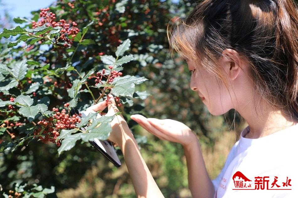 downloadjpg (45).jpg