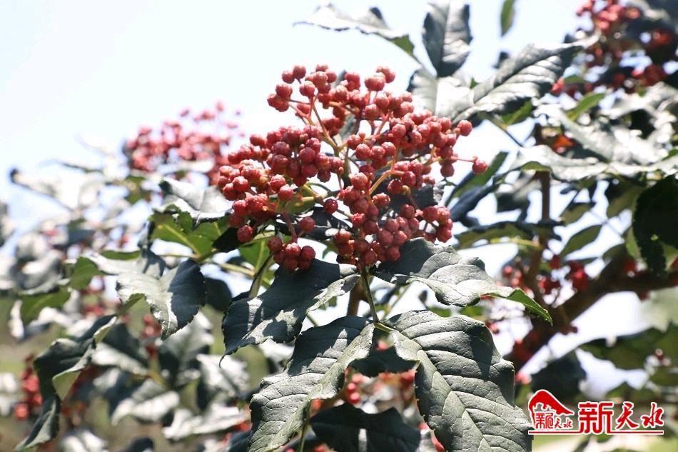 downloadjpg (46).jpg