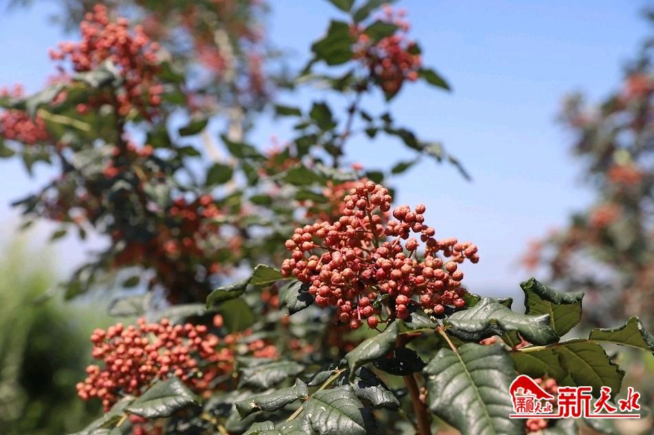 downloadjpg (43).jpg