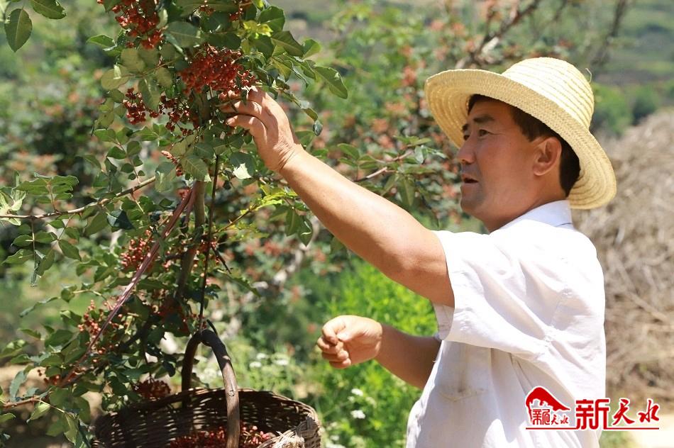 downloadjpg (41).jpg