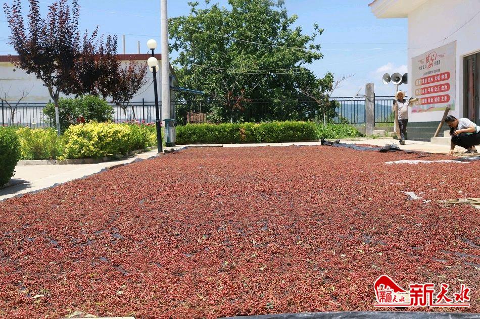 downloadjpg (42).jpg