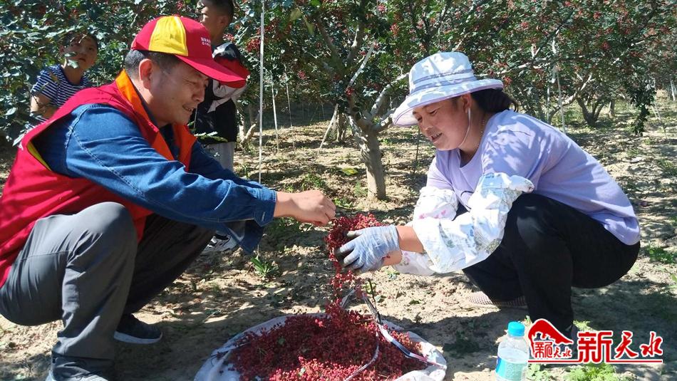 downloadjpg (49).jpg