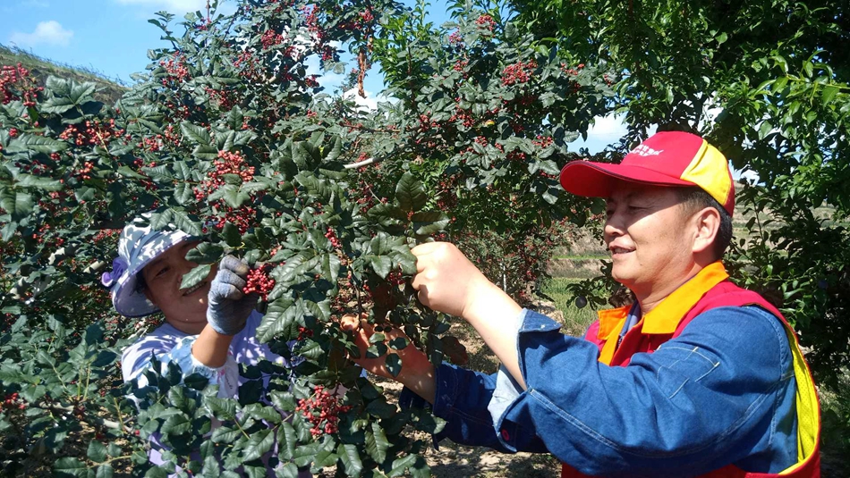 downloadjpg (48).jpg