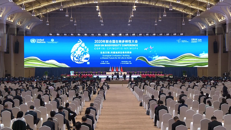 2021年10月12日，《生物多样性公约》第十五次缔约方大会在昆明开幕。（图源：央视）_副本.png