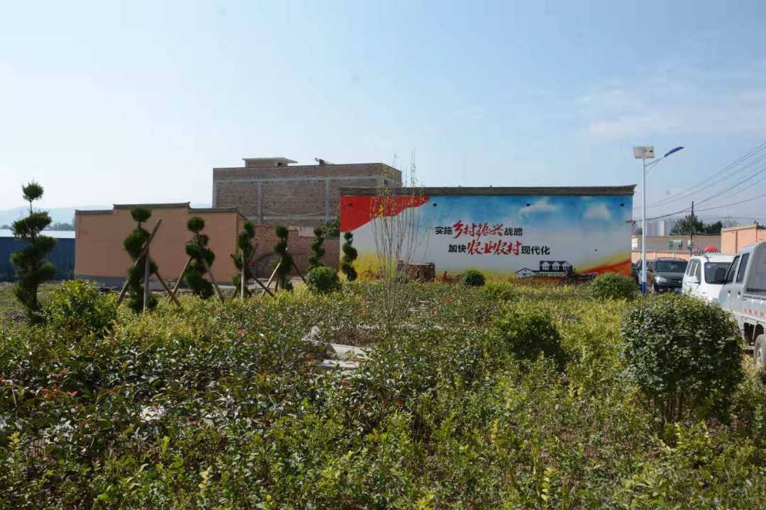 WechatIMG1252.jpeg?x-oss-process=style/w10