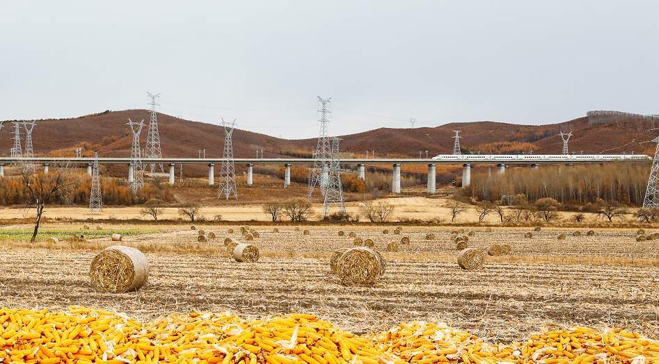 image.png?x-oss-process=style/w10