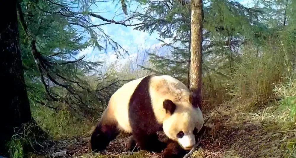 港澳委员看甘肃丨王其武（香港）:陇上有“江南” 道不尽温柔写不完繁华