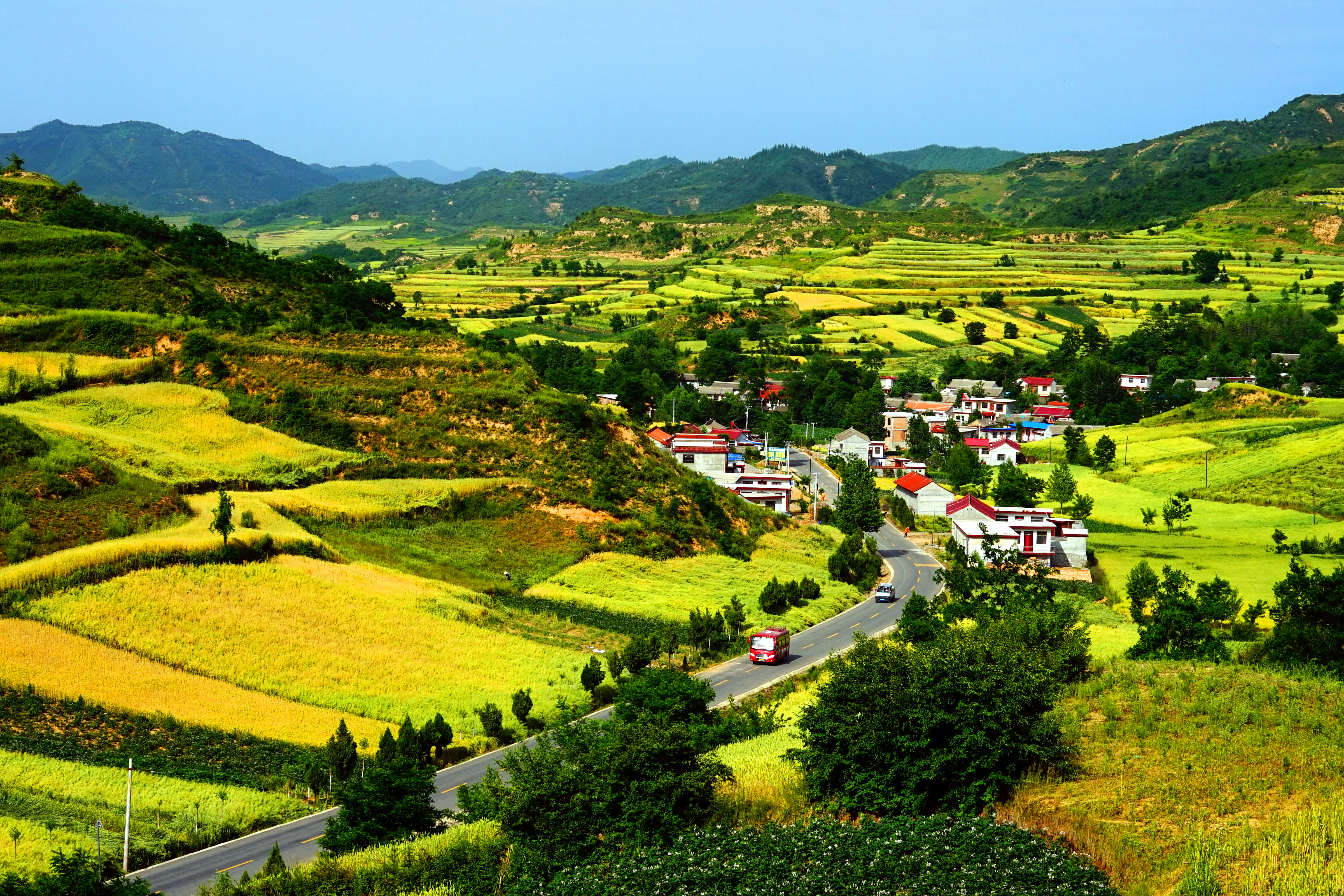 港澳委员看甘肃丨郑国恒（澳门）:一“路”风光一路赞 忘不掉的还有那“八棵树”……