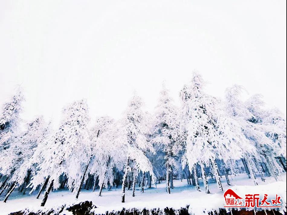 微信图片_20220127152437.jpg 微信图片_20220127152437.jpg