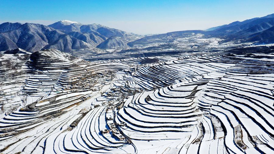 雪后的梯田。 金光煜摄