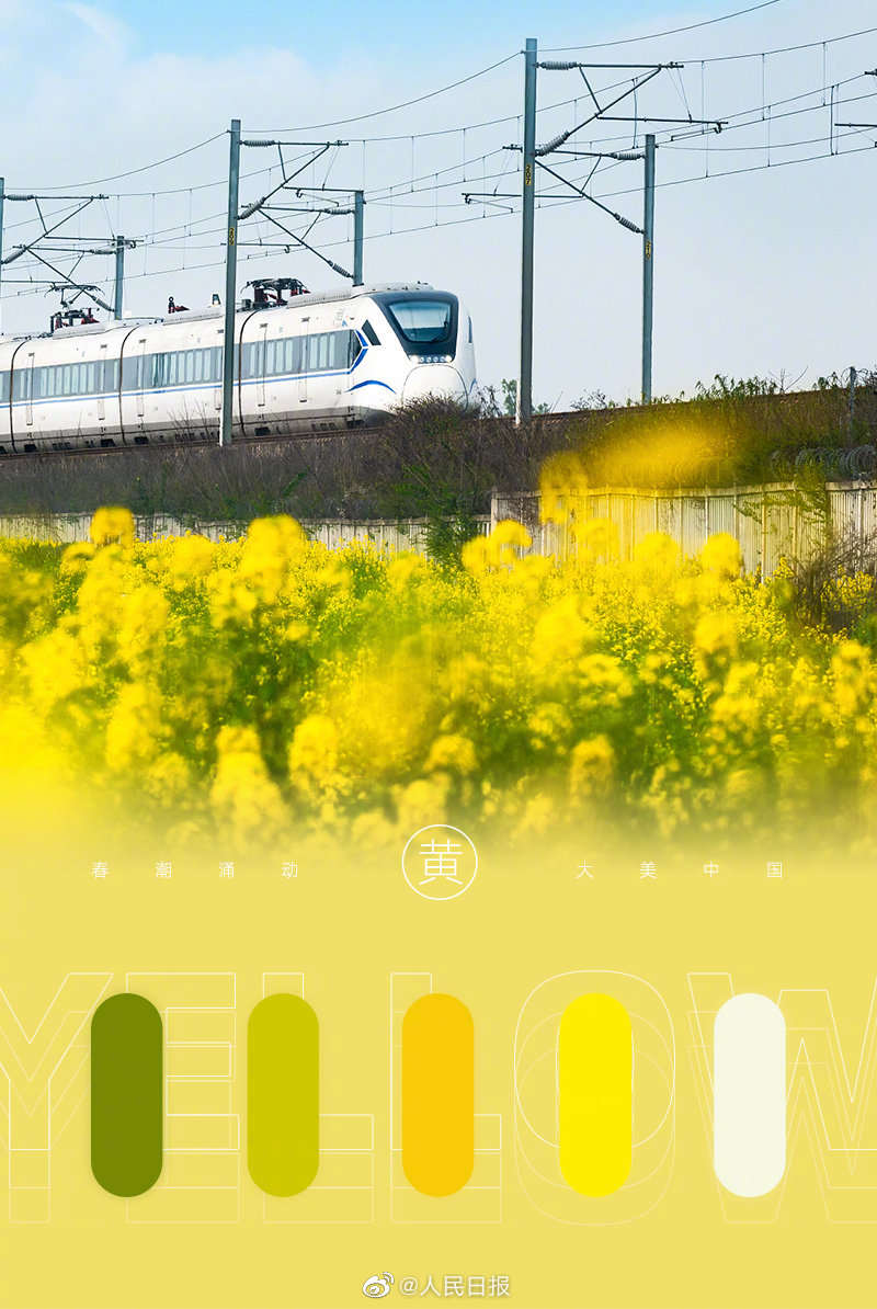 2.jpg?x-oss-process=style/w10