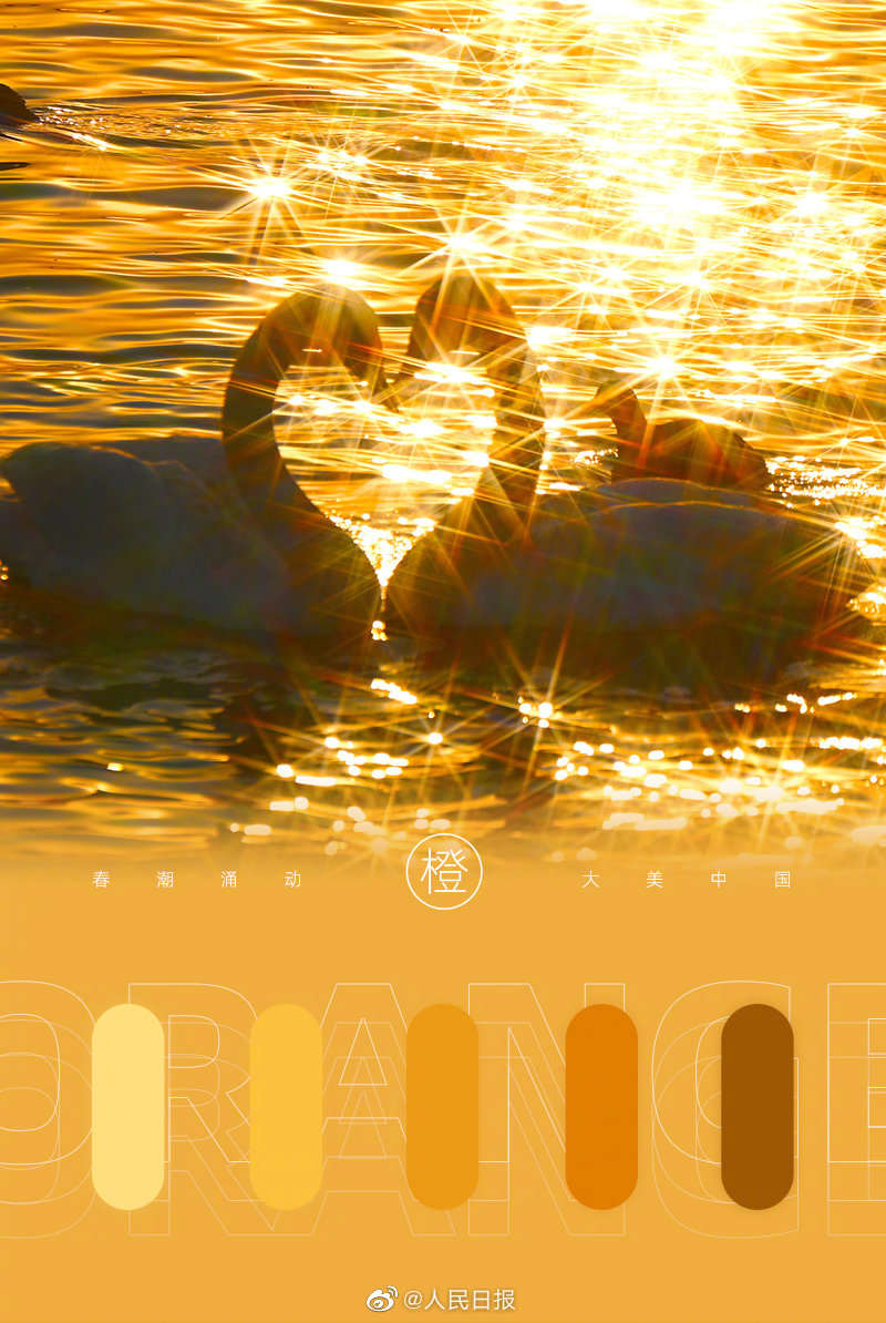 5.jpg?x-oss-process=style/w10