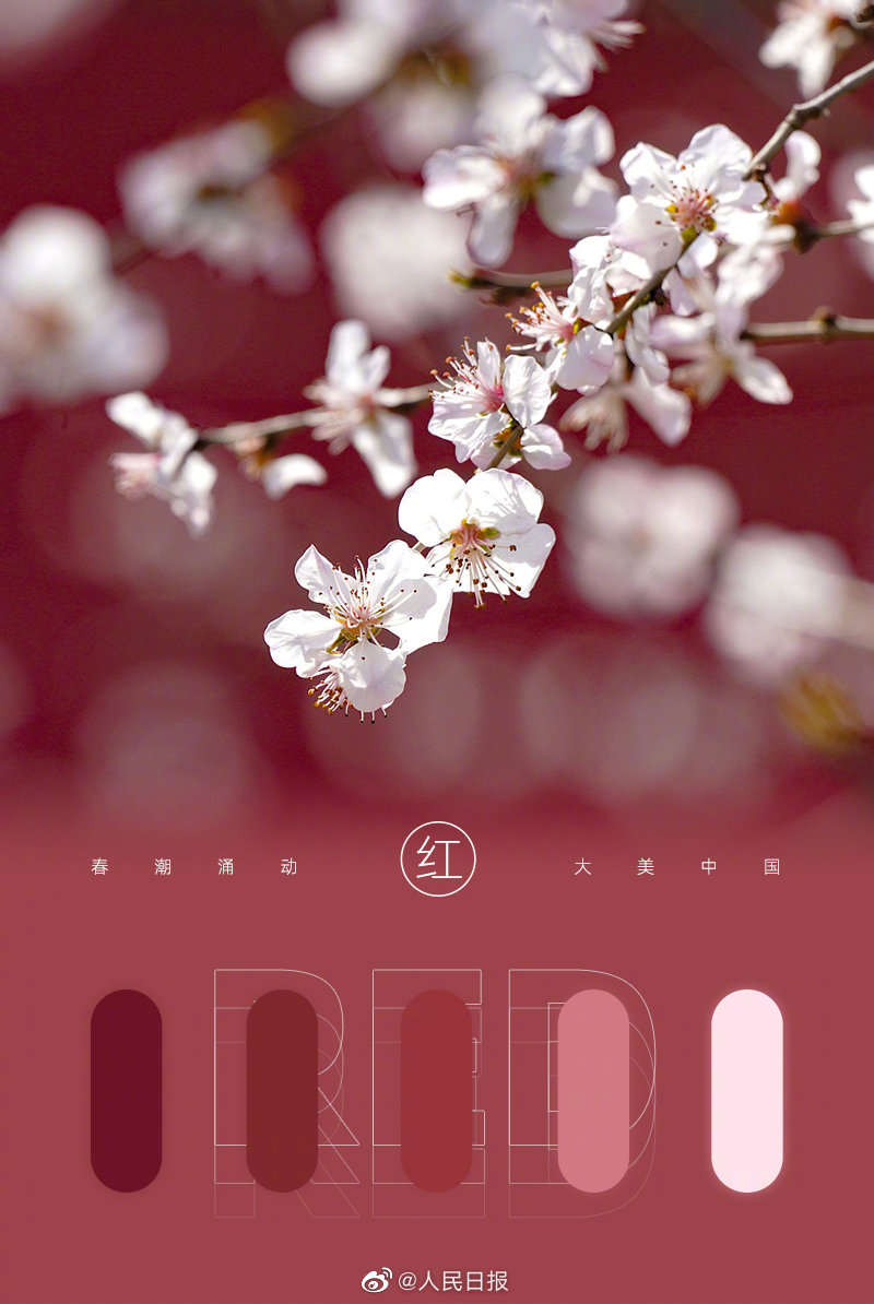 4.jpg?x-oss-process=style/w10