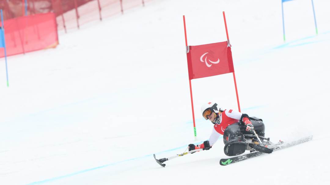 微信图片_20220311133809.jpg?x-oss-process=style/w10