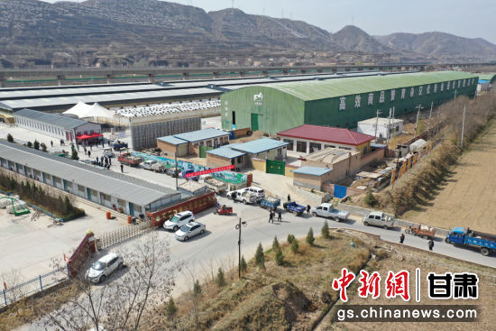 图为环县打造的中国羊谷。