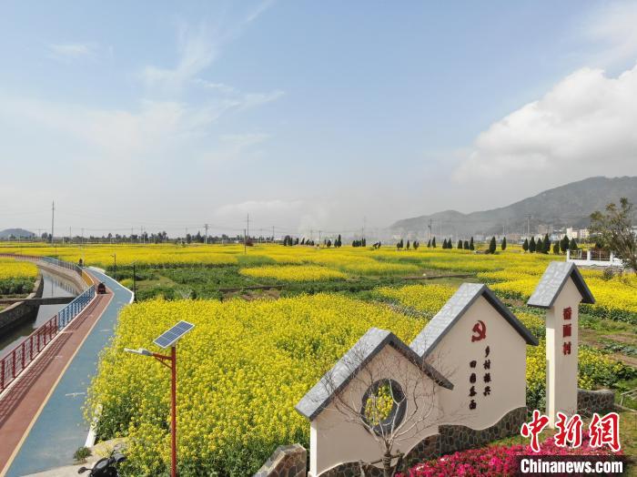 浙江洞头大门镇乡村风光 郑晓燕供图