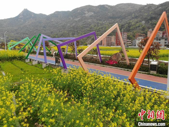浙江洞头大门镇乡村风光 郑晓燕供图