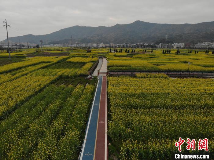 浙江洞头大门镇乡村风光 郑晓燕供图