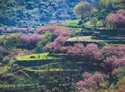 点击进入下一页