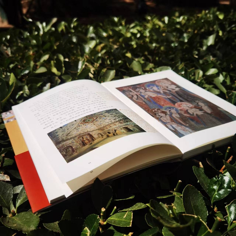 WechatIMG2328.jpeg?x-oss-process=style/w10