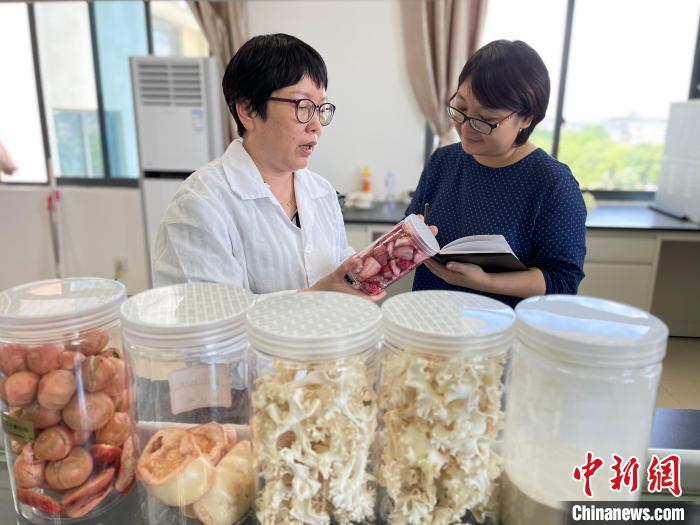 福州市蔬菜科研所所长陈秀娟(左)接受采访。　孟芳 摄