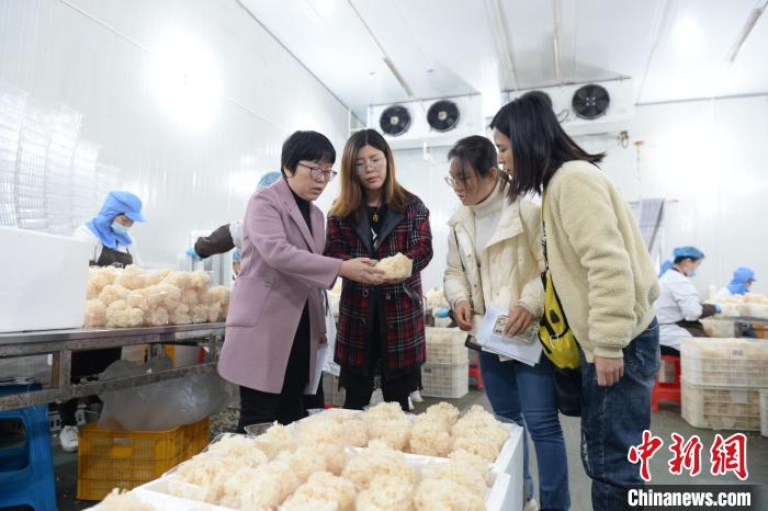 【十年@每一个奋斗的你】“蔬”写乡村振兴“科技特派员”守好“菜篮子”