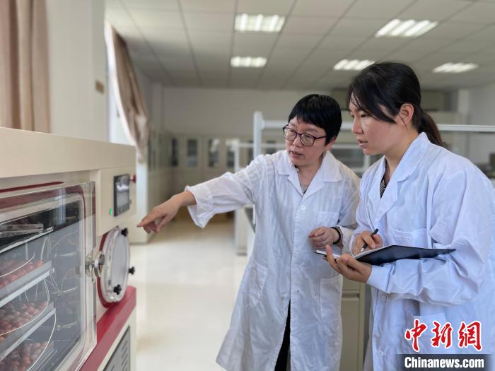 福州市蔬菜科研所所长陈秀娟(左)研究蔬菜水果冻干技术。　林春茵 摄