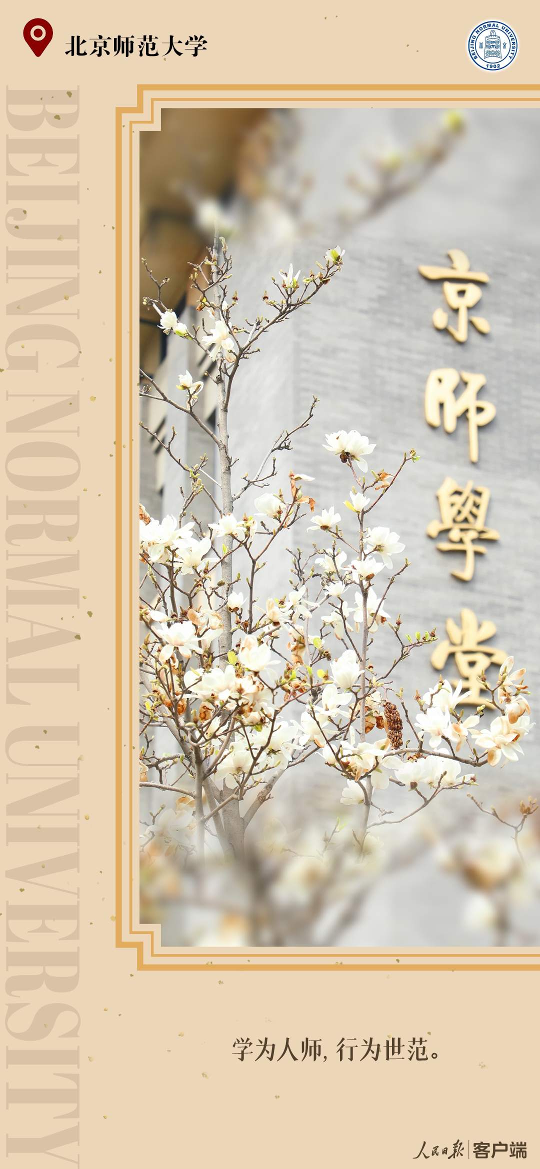 13.png?x-oss-process=style/w10