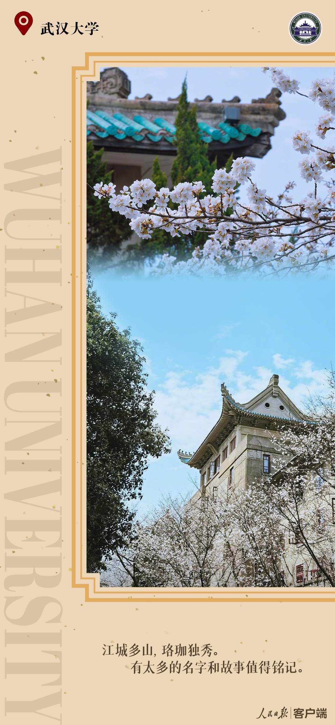 14.png?x-oss-process=style/w10