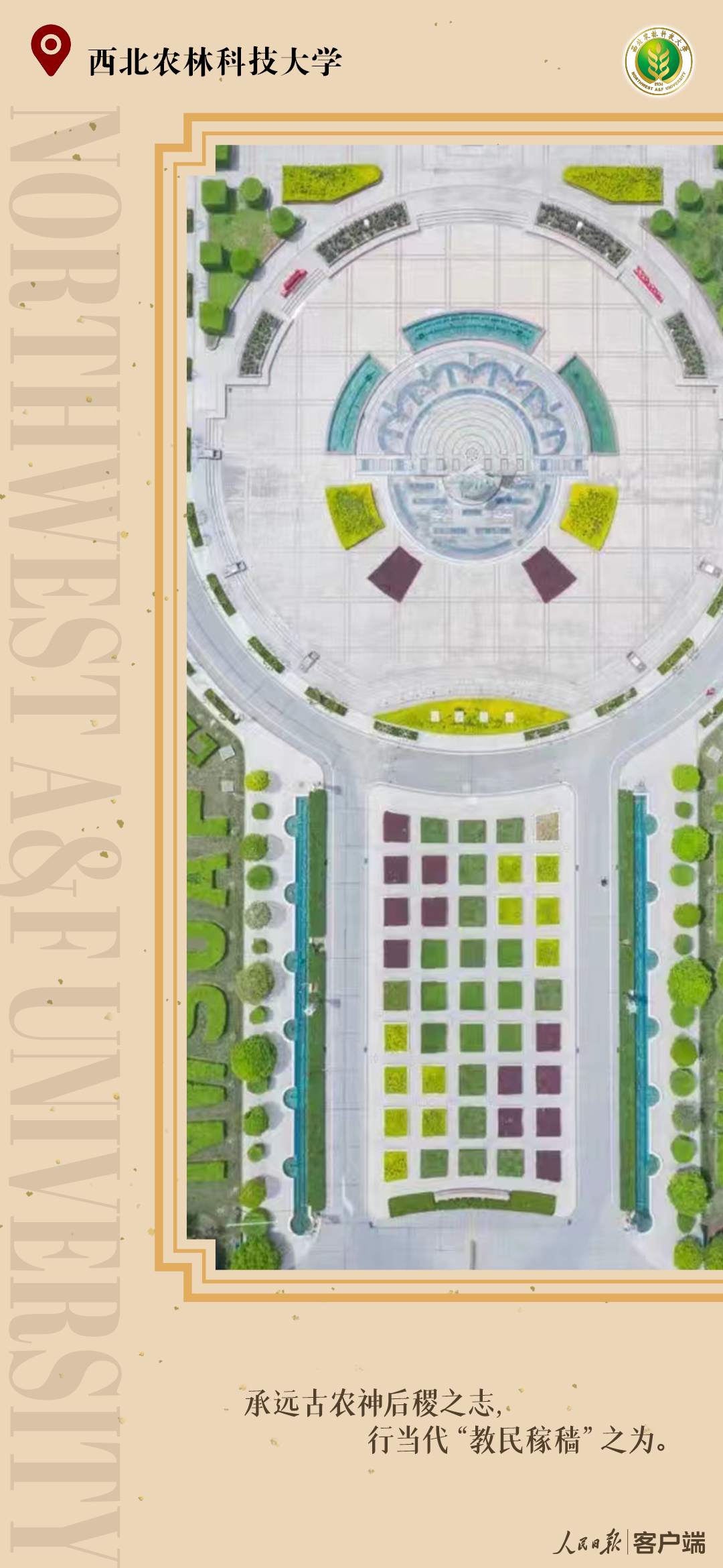 22.png?x-oss-process=style/w10