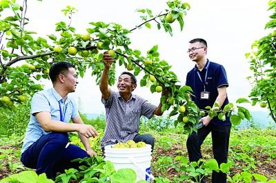 以党的自我革命引领社会革命