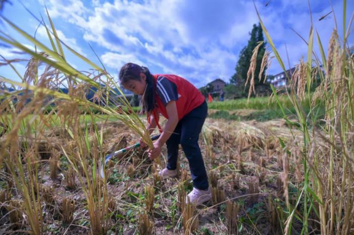 图片来源:“今日余庆”微信公众号