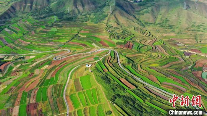 秋日里，榆中县马坡乡千亩梯田，不同农作物渐趋成熟，呈现出多种色彩，宛若大地的“调色盘”。　<span class="highlight_review" data-suggest="" id="highlight_review_3">刘晓波</span> 摄