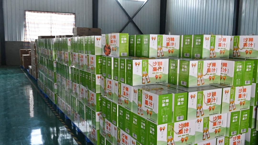 沙棘产品——沙棘果汁.jpg?x-oss-process=style/w10