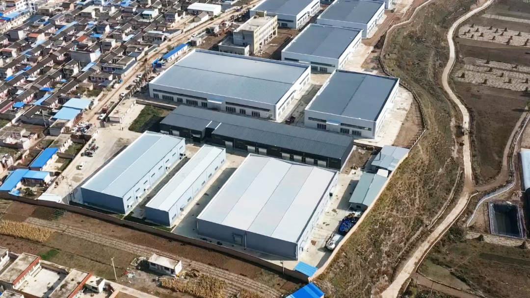 甘肃艾康沙棘长2.jpg?x-oss-process=style/w10