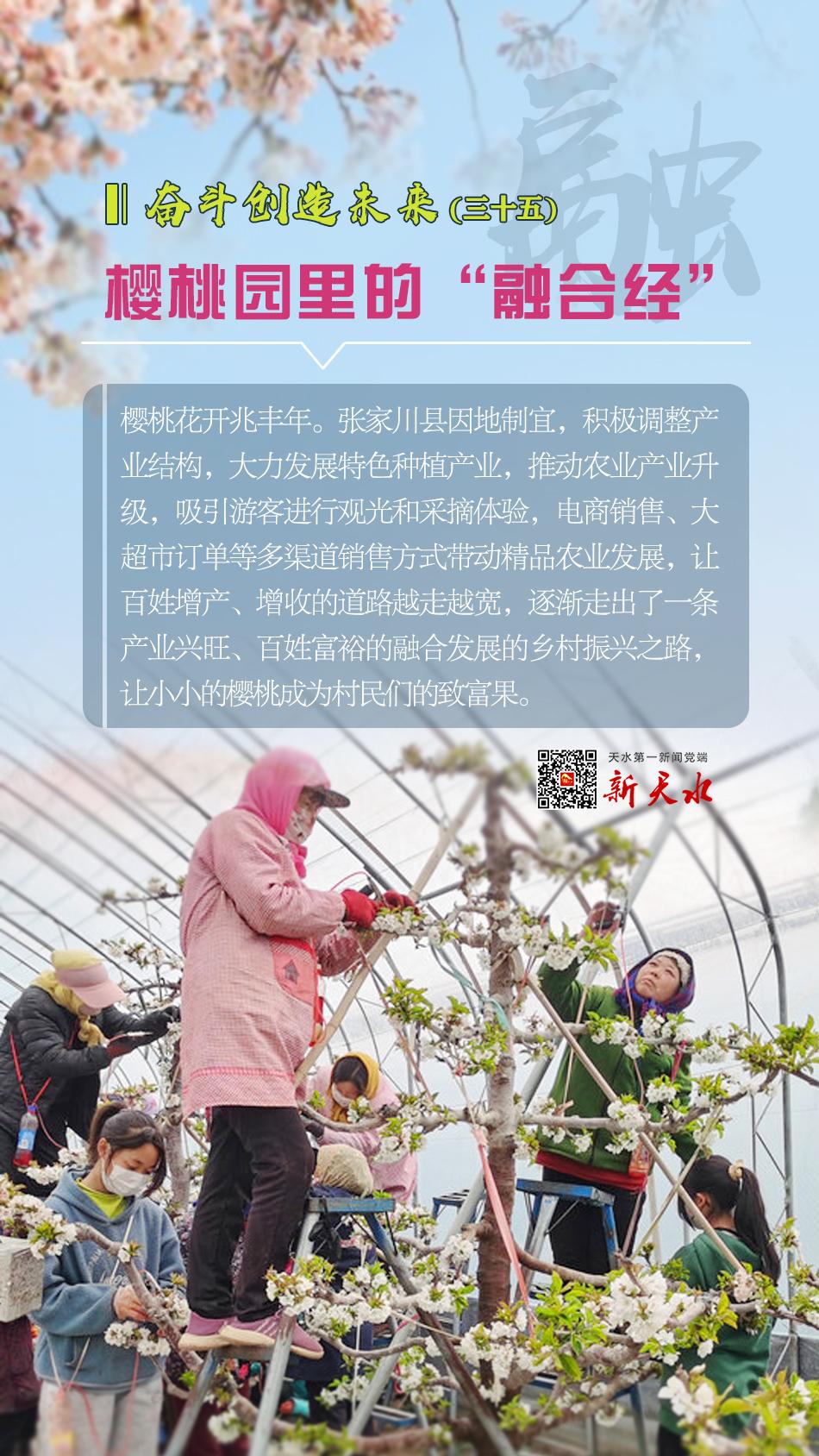 张川樱桃.jpg