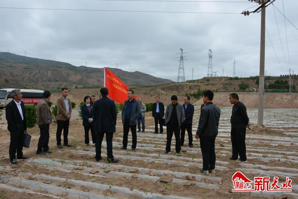 0fb11c3b3daed9ee093673bce68981d9_32794a93-86c6-4ffe-a4b8-f399664395e8.jpg 0fb11c3b3daed9ee093673bce68981d9_32794a93-86c6-4ffe-a4b8-f399664395e8.jpg