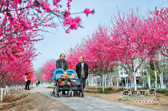 3月29日，市民在天水市藉河风情线罗玉小区段散步。近年来，天水市不断加大城市绿化工作力度，城区绿地覆盖率已达32.97%。