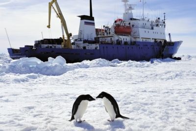 中国直升机成功救出俄科考船52名被困南极乘客