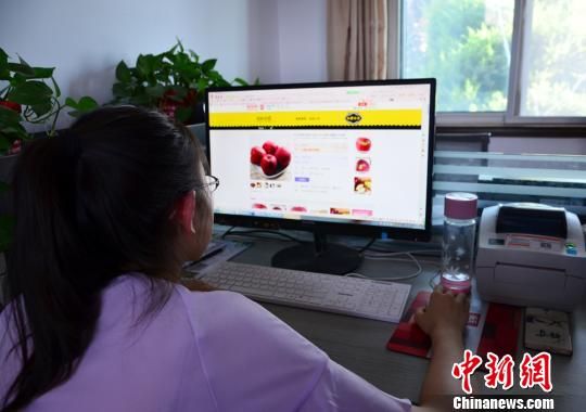 甘肃天水“花牛”苹果实现订单、互联网营销。　崔琳 摄