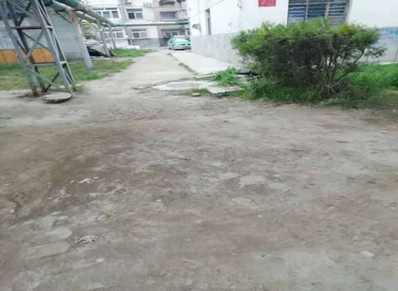 mmexport1539312479193