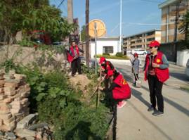 726d4ee1c47c2ee5f98d6785412542e