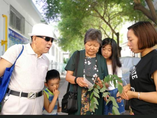 6682fc4ffe0a32f695bcb7815f0f43e