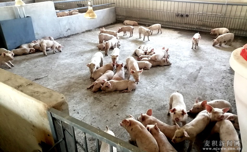 å¾®ä¿¡å¾ç_20200619154959 å¯æ¬_å¯æ¬.jpg