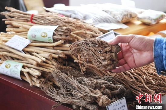 甘肃民乐中药材博览会上展出的中药材。(资料图) 杨艳敏 摄