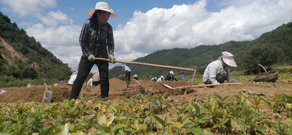 微信图片_2021082619274208